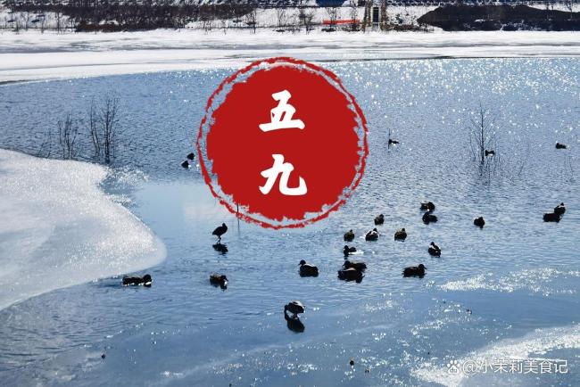 五九时节养生:少吃羊肉枸杞 多吃5样