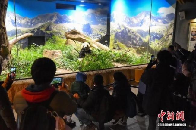 旅日大熊猫启程回国 民众现场落泪