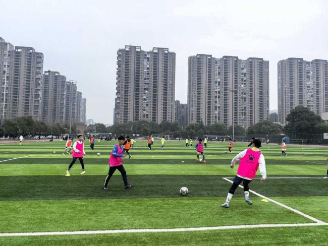 “12岁退役现象”迎转机，校园足球贡献U23国脚 中国足球青训观察② 学训平衡新路径