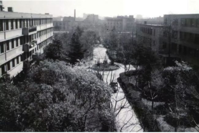 蚯蚓当药吃、实习生救人、医生被误诊，我在精神科的60年 见证巨变