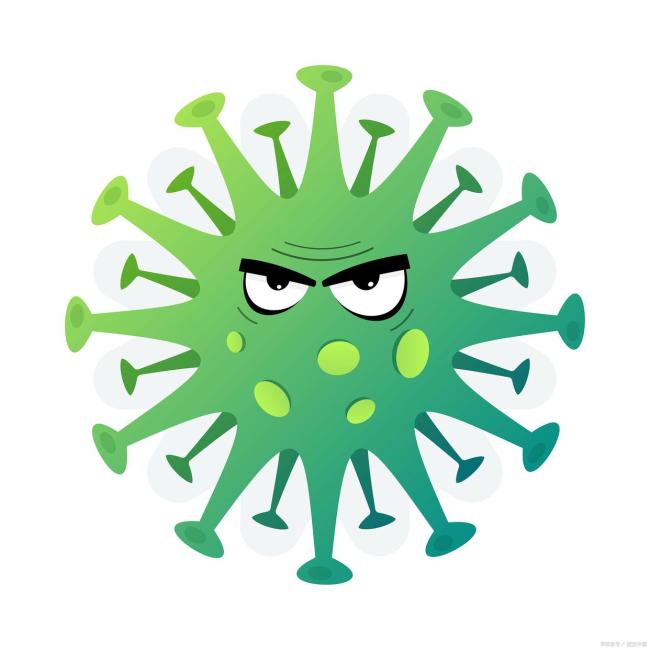 中疾控解读尼帕病毒输入风险