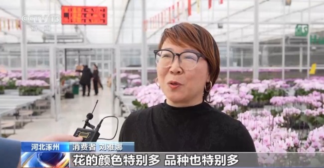 非遺映春 年宵花俏 解鎖中國年消費新場景