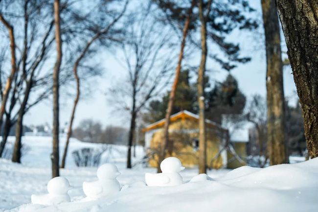 上厕所离岗20分钟被公司要求解释去向 员工如厕引发争议