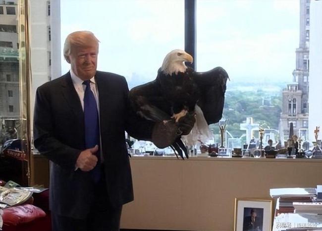 俄供伊朗米-28武直是雪中送炭吗 打破美方威慑信号