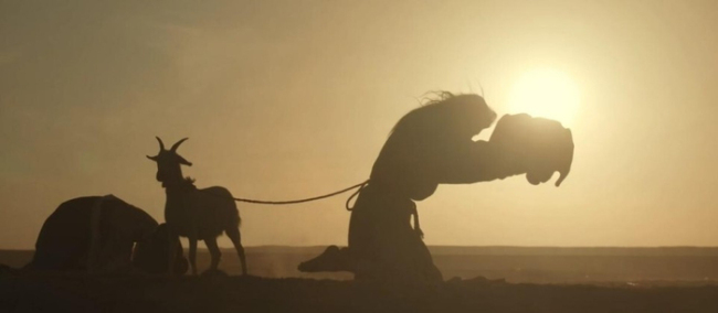 贾宏伟凭借《太平年》出圈 实力演技获招供