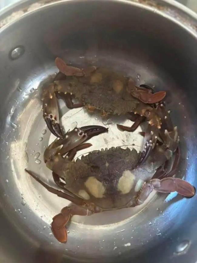 北京密斯特出2800公里到无东说念主岛上班 海鲜管够的伟人日子