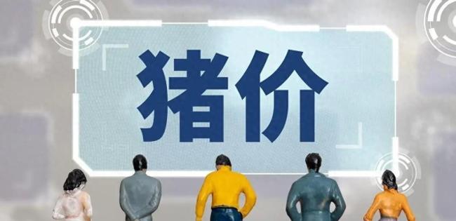 跌了！猪价下降“猛昂首” 春节前行情回转