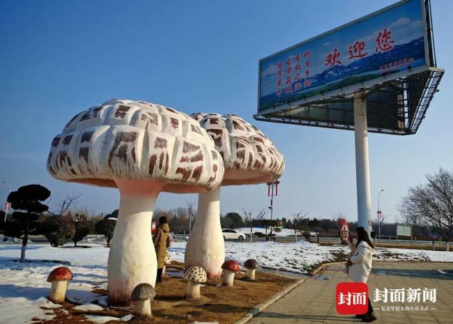 河南21车冻货“偏航”被查扣 疑云重重引发关注