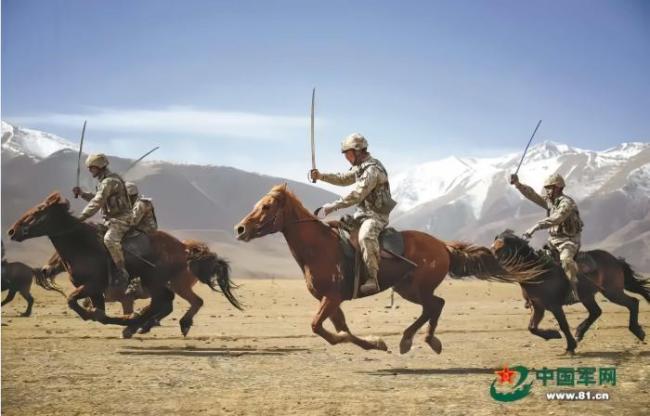 驼马受苦军犬建功 动物士兵不毛糙 独特手段助力军事任务