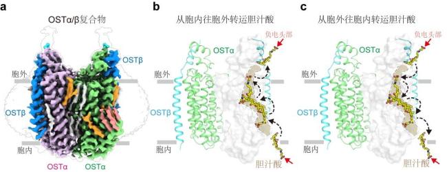 刷新多项记录！中国在多范围杀青冲破 科技改进顺次不休