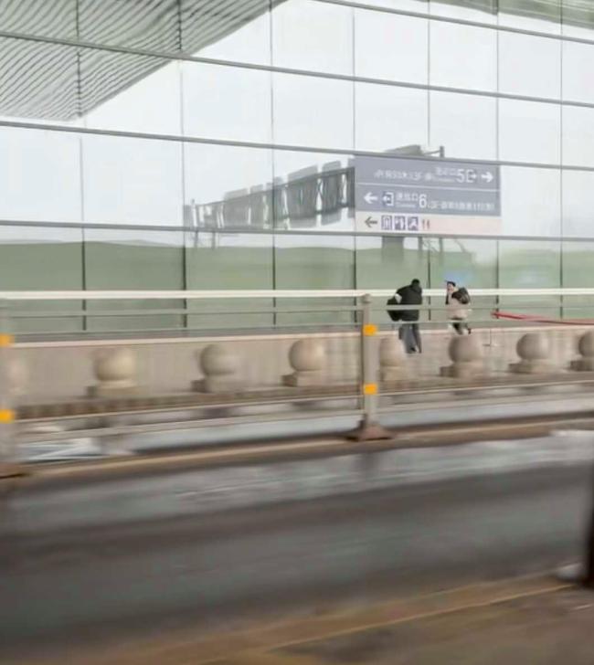 儿子车站狂奔追母 一条评论神反转