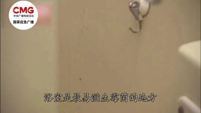“年前大扫除”藏着哪些健康风险 霉菌威胁需警惕