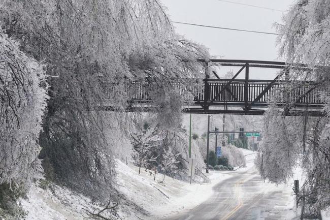 美国纳什维尔断电持续居民怒气高涨 电网危机暴露脆弱性