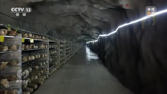 “生态赤字”如何变为“美丽经济”?