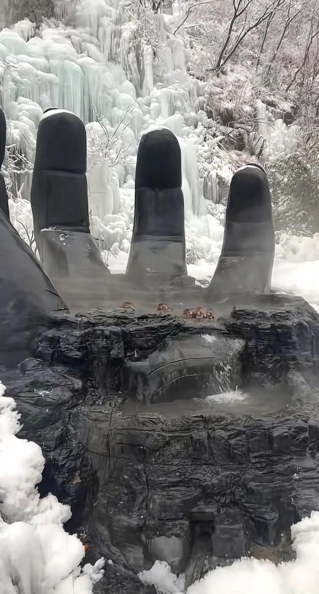 山公在“五指山”拖家带口泡温泉养生 自然水潭成猕猴乐土