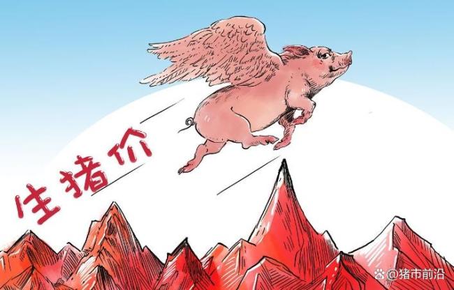 一夜飙涨，猪价上涨“猛抬头”