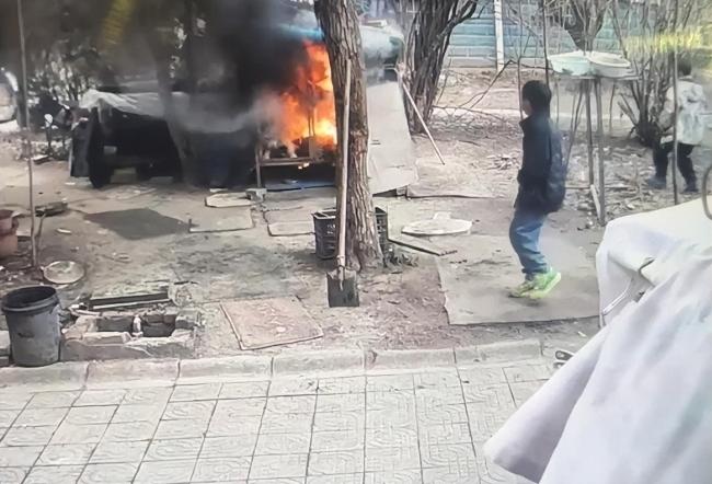 萨摩耶主东谈主条款孩子家长谈歉,不接纳私了