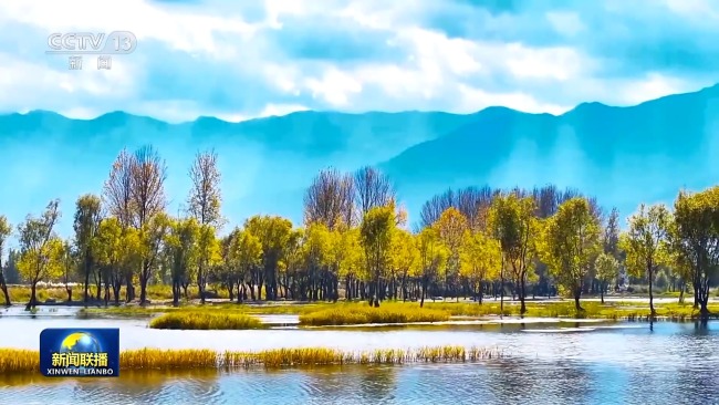 新想想引颈新征途丨看护大好意思湿地 建设飘逸中国
