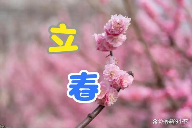 立春别忘了咬春 咬出整年好彩头