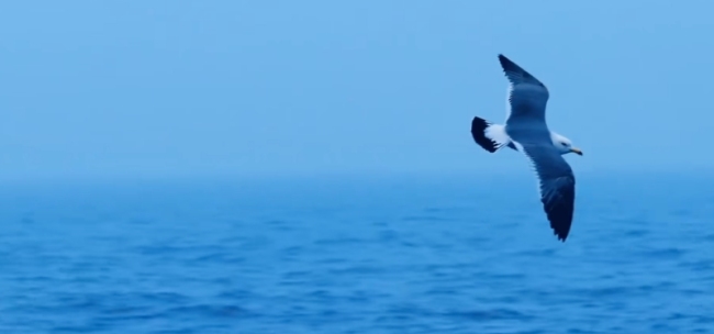 歼16飞行员说宝岛景色无以言表