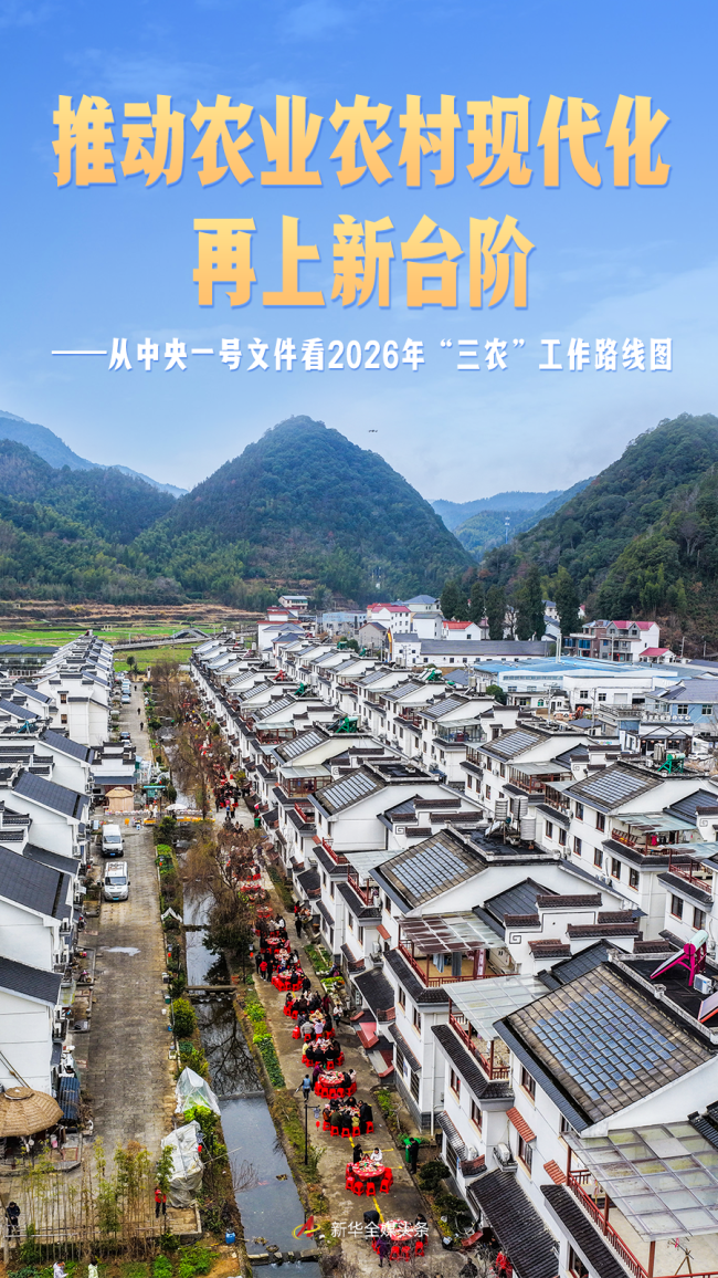 从中央一号文件看2026年“三农”工作路线图