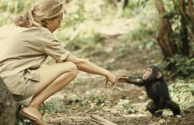 《重返·狼群》翻红带来流量新考题 李微漪与格林的双向奔赴