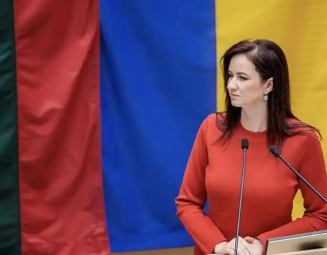 立陶宛承认：对中国犯了大错 经济代价惨重