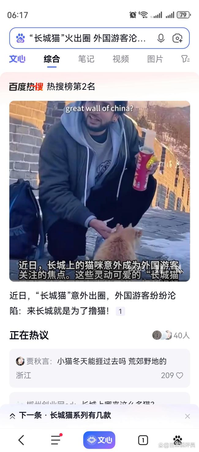 长城猫意外出圈引外国游客沦陷 跨文化互动新纽带