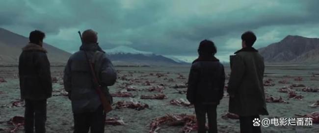 《生命树》哪些议题能上《奇葩说》 杨紫新剧引发热议