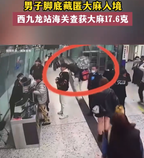 男子入境深圳因脚臭被查藏大麻