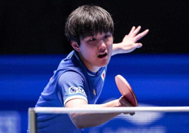 张本智和或提前对决王楚钦