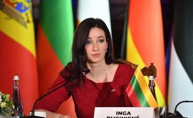 怎么看待立陶宛认输轻易示好中国