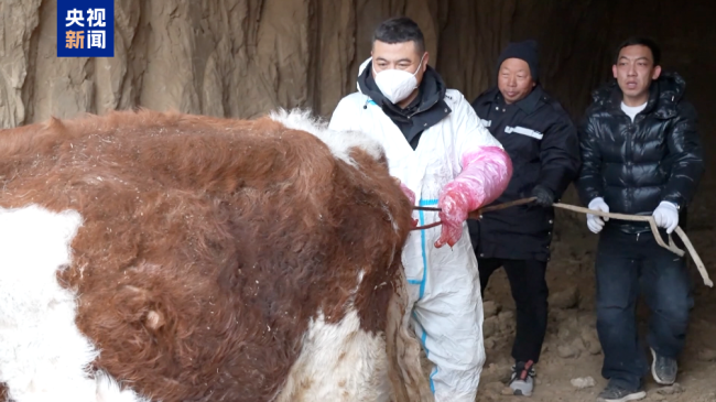 记者走进新春的中国撞见东谈主间善意 仁和蓦地震荡心灵