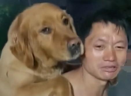 王楚钦多少有些无奈了 采访比比赛累