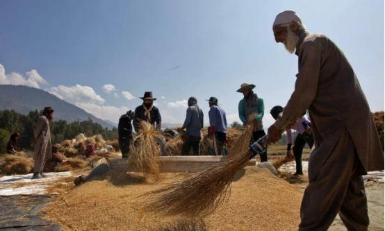 美印官方通报为何都避谈俄石油话题 莫迪的微妙平衡
