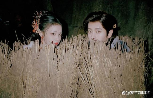 丞磊王楚然同框合照曝光 甜密互动引期待