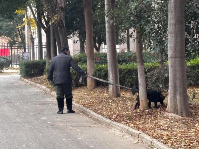 未牵绳边牧咬伤路人主人被行拘 新法首例处罚引发关注