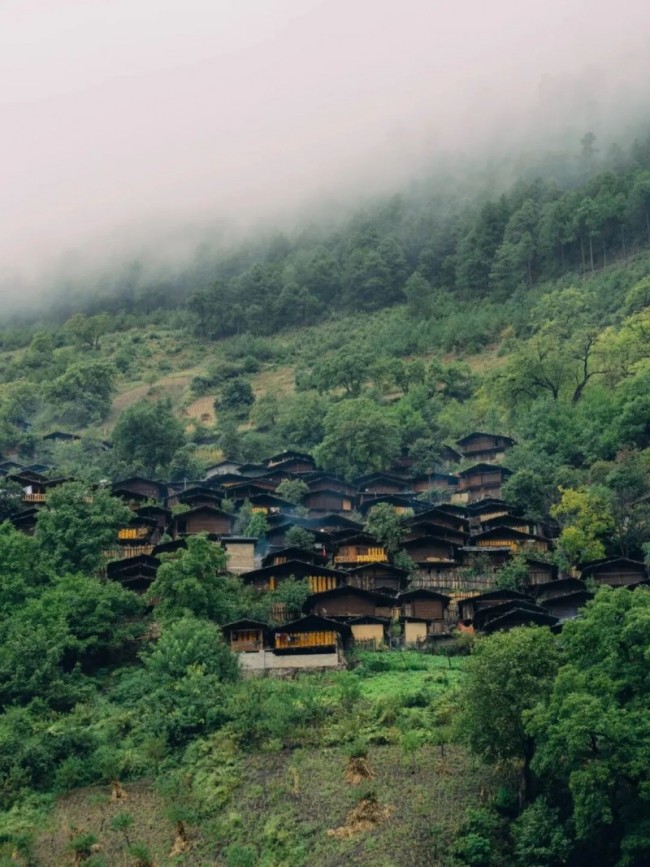 云雾深山里的振兴样本——亚朵村的茶旅文融合探索