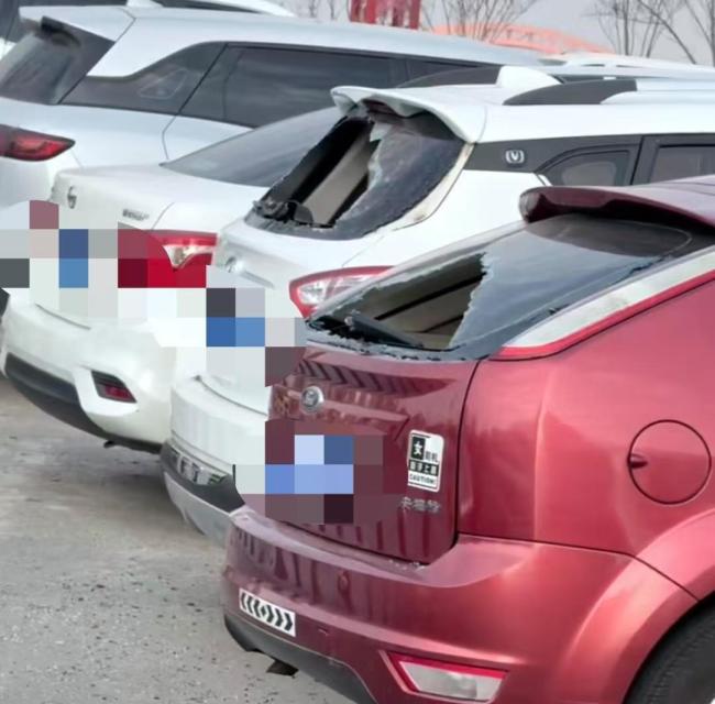 男子打砸路边数十辆车被警方抓获