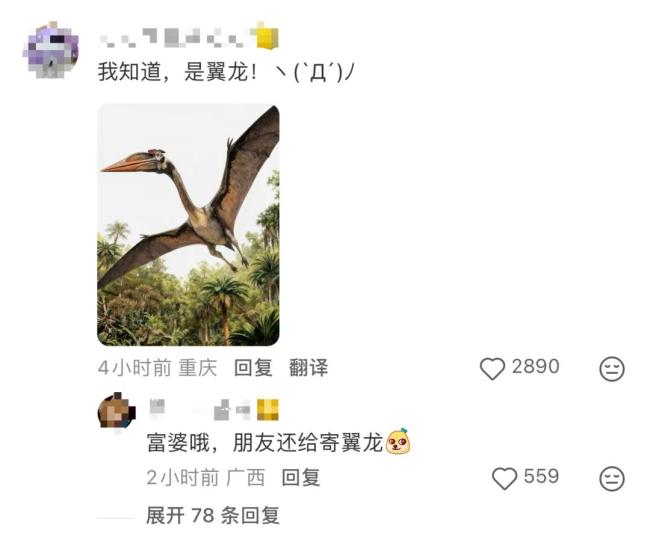 同学寄来“翼龙” 网友求助：能吃吗 广西特产揭秘