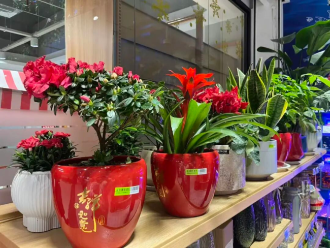 你家过年备了多少年货 阜宁味儿的团圆祝福