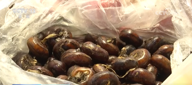 多彩非遗活动“解锁”热闹中国年