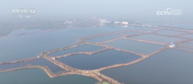 多彩非遗活动“解锁”热闹中国年