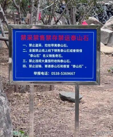 泰山已本质最严“禁石令” 寄石难步地露馅