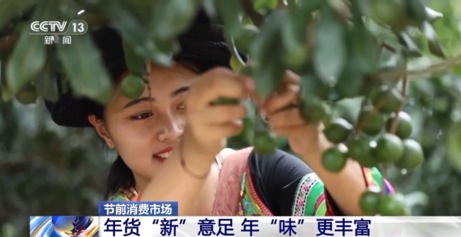 南货北上 年货“新”意足 年味更丰富