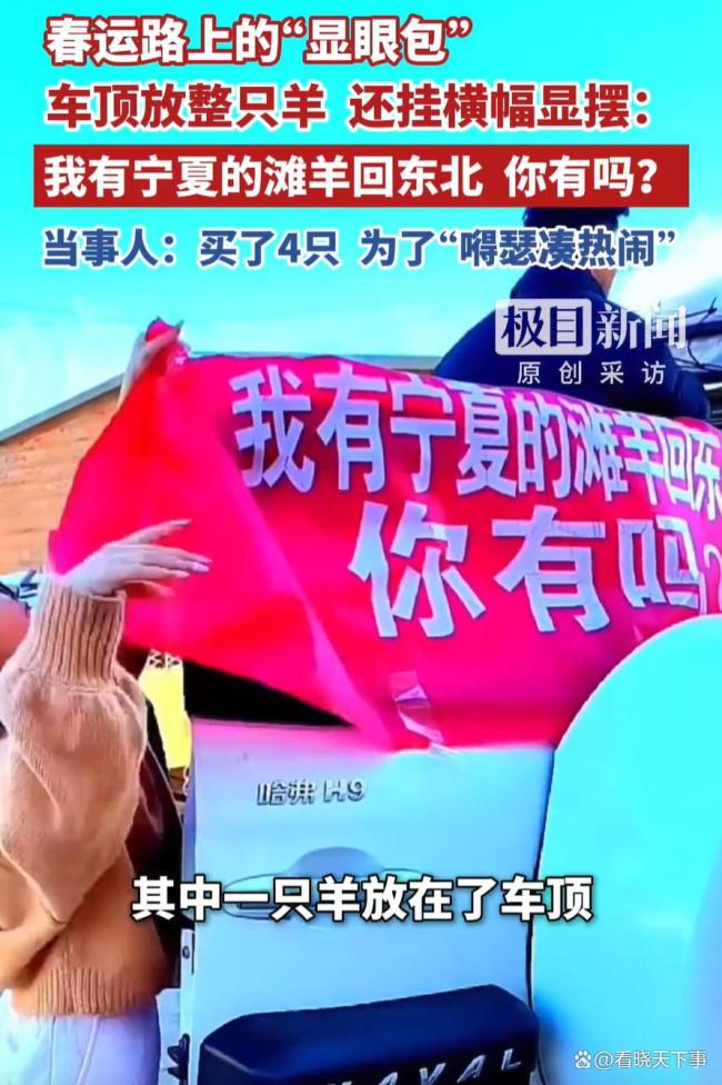 女子将整只滩羊放车顶还挂横幅显摆 远嫁女儿的骄傲宣言