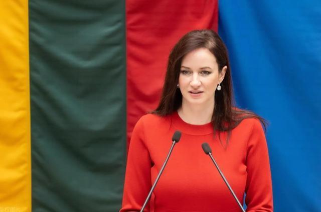 立陶宛为何向中方服软 现实困境下的利益选择