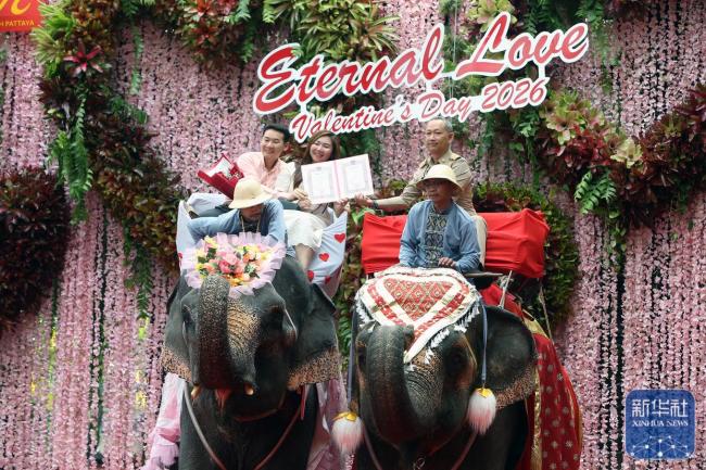泰国芭堤雅：象背上的集体婚礼 9对情侣喜结连理