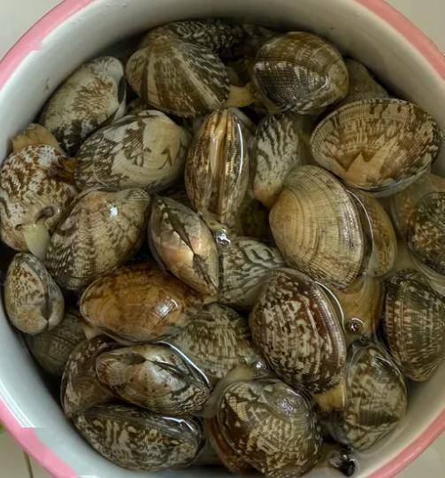 过年期间这3种剩菜真的不要留 健康隐患大