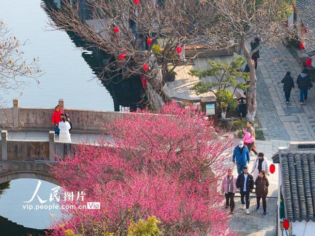 江苏昆山：歇马桥古村春韵